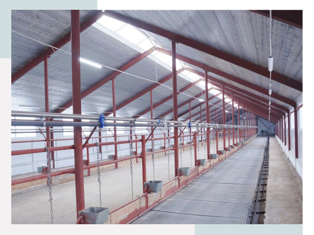 Строительство коровников в Мытищах от 609 руб.