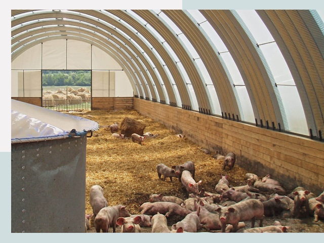 Строительство свинарников в Мытищах