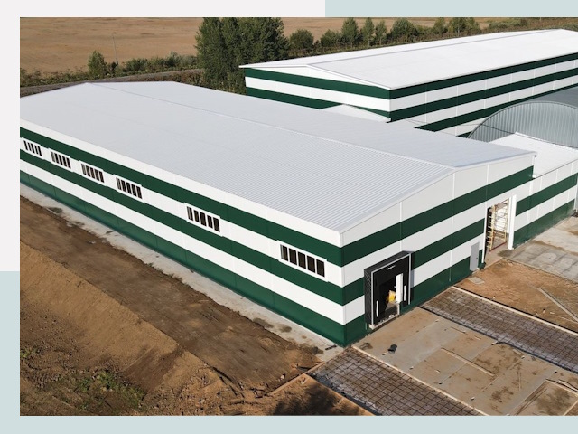 Строительство овощехранилищ в Мытищах